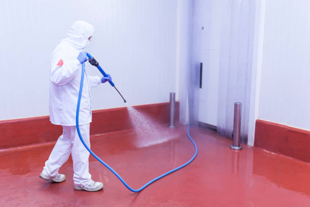 Best Patio and Deck Pressure Washing  in Tuscola, IL