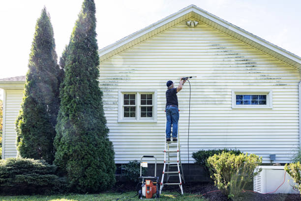 Best Restaurant Pressure Washing  in Tuscola, IL